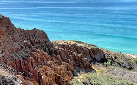 Torrey Pines State Natural Reserve image