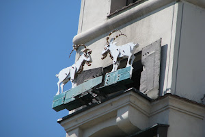 Poznań Goats image