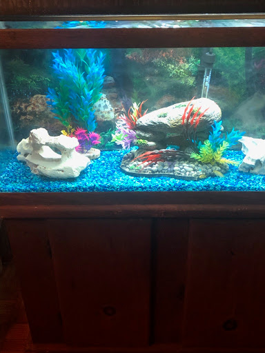 Pet Supply Store «Petco Animal Supplies», reviews and photos, 1401 E Spring Valley Rd, Richardson, TX 75081, USA