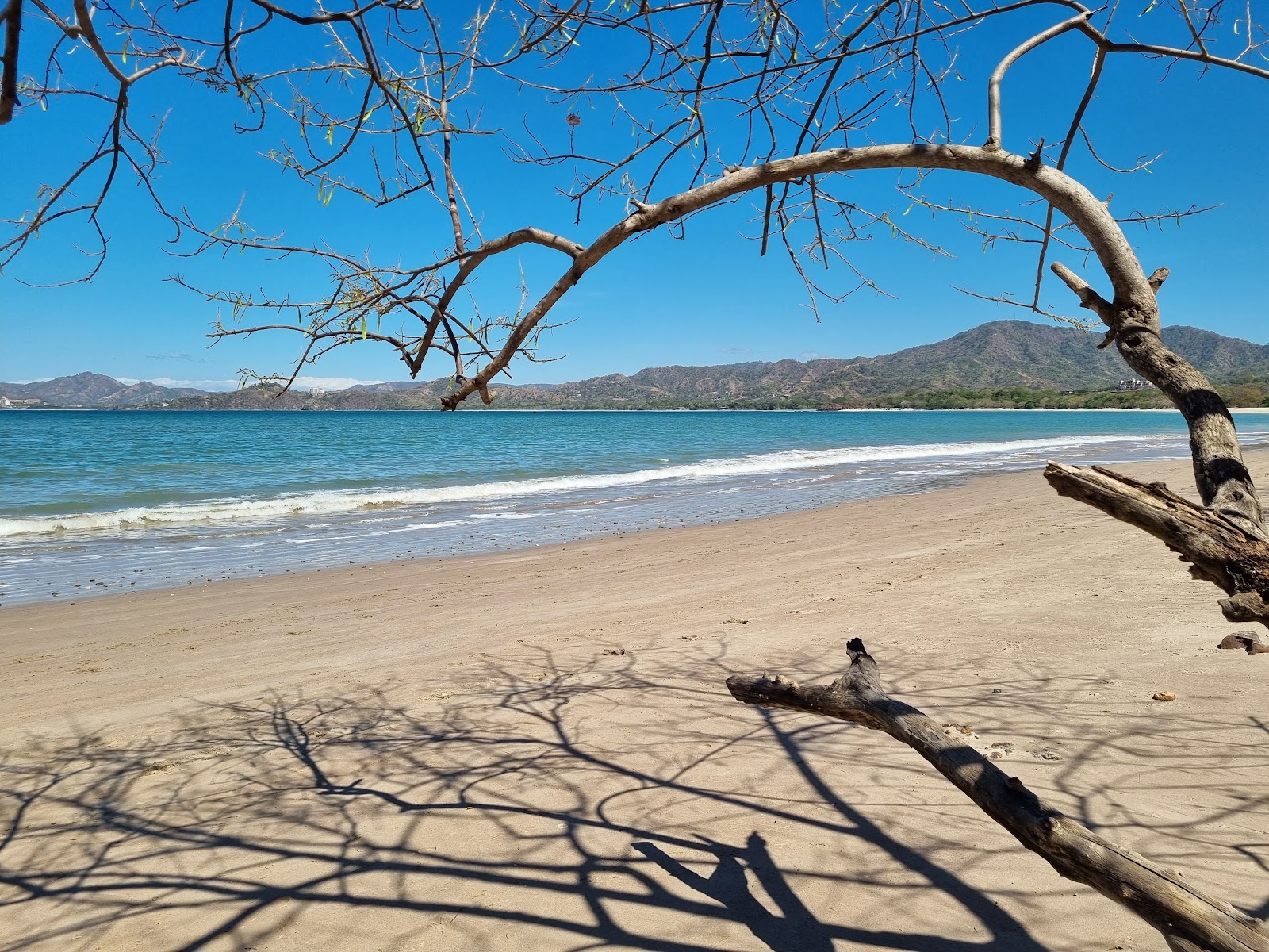 Photo de Puerto Viejo avec un niveau de propreté de très propre