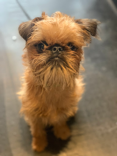 Shipping and Mailing Service «Sip & Ship», reviews and photos, 1752 NW Market St, Seattle, WA 98107, USA