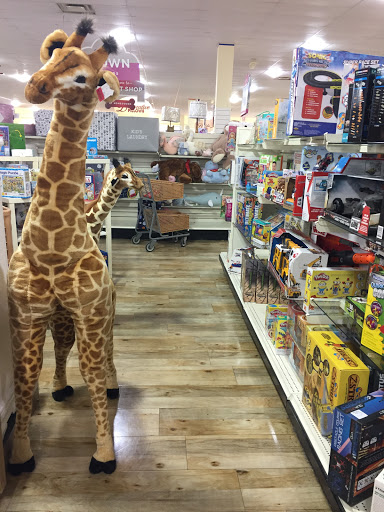 Department Store «HomeGoods», reviews and photos, 19165 West Rd, Woodhaven, MI 48183, USA