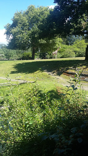 Zoo «Seattle Rotary Education Center», reviews and photos, Zoo acrd., Seattle, WA 98103, USA