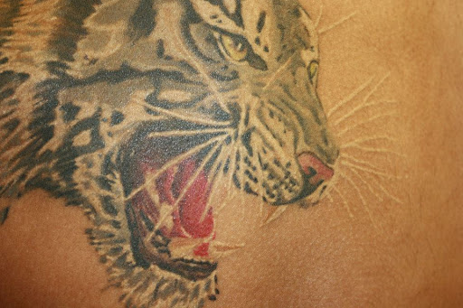 Tattoo Shop «In Vivo Studios Tattoos and Piercings», reviews and photos, 122 N 1st St, Oskaloosa, IA 52577, USA