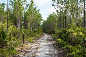 Twelve Mile Swamp Conservation Area image