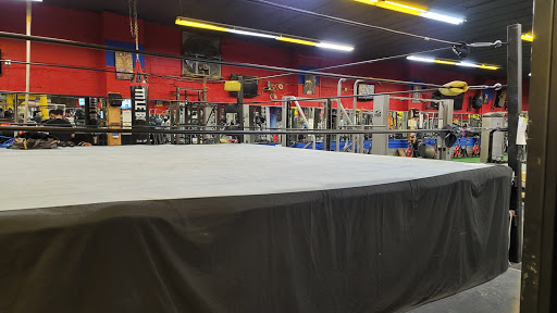 Gym «Coliseum Gym Inc», reviews and photos, 7509 71st Ave, Middle Village, NY 11379, USA