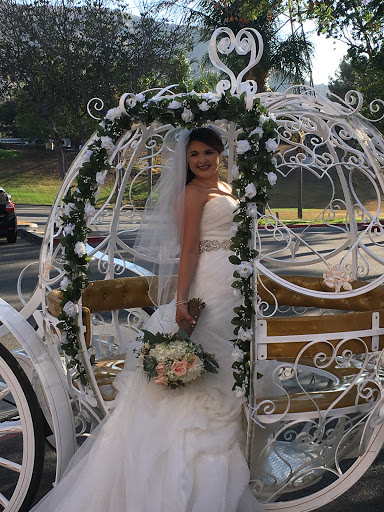 Dream Catchers Carriages