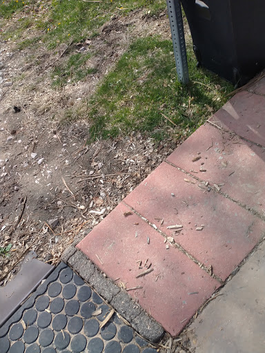 Park «Fishback Park», reviews and photos, 818 Water St, Denver, CO 80211, USA