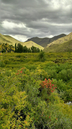Museum «National Geographic Museum», reviews and photos, 1145 17th Street NW, Washington, DC 20036, USA