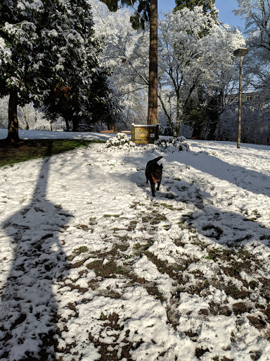 Park «Couch City Park», reviews and photos, 1961 NW Glisan St, Portland, OR 97209, USA