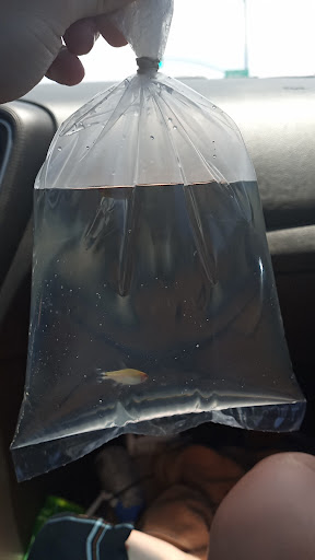 Pet Store «Wildside Pets», reviews and photos, 1042 N Higley Rd #105, Mesa, AZ 85205, USA