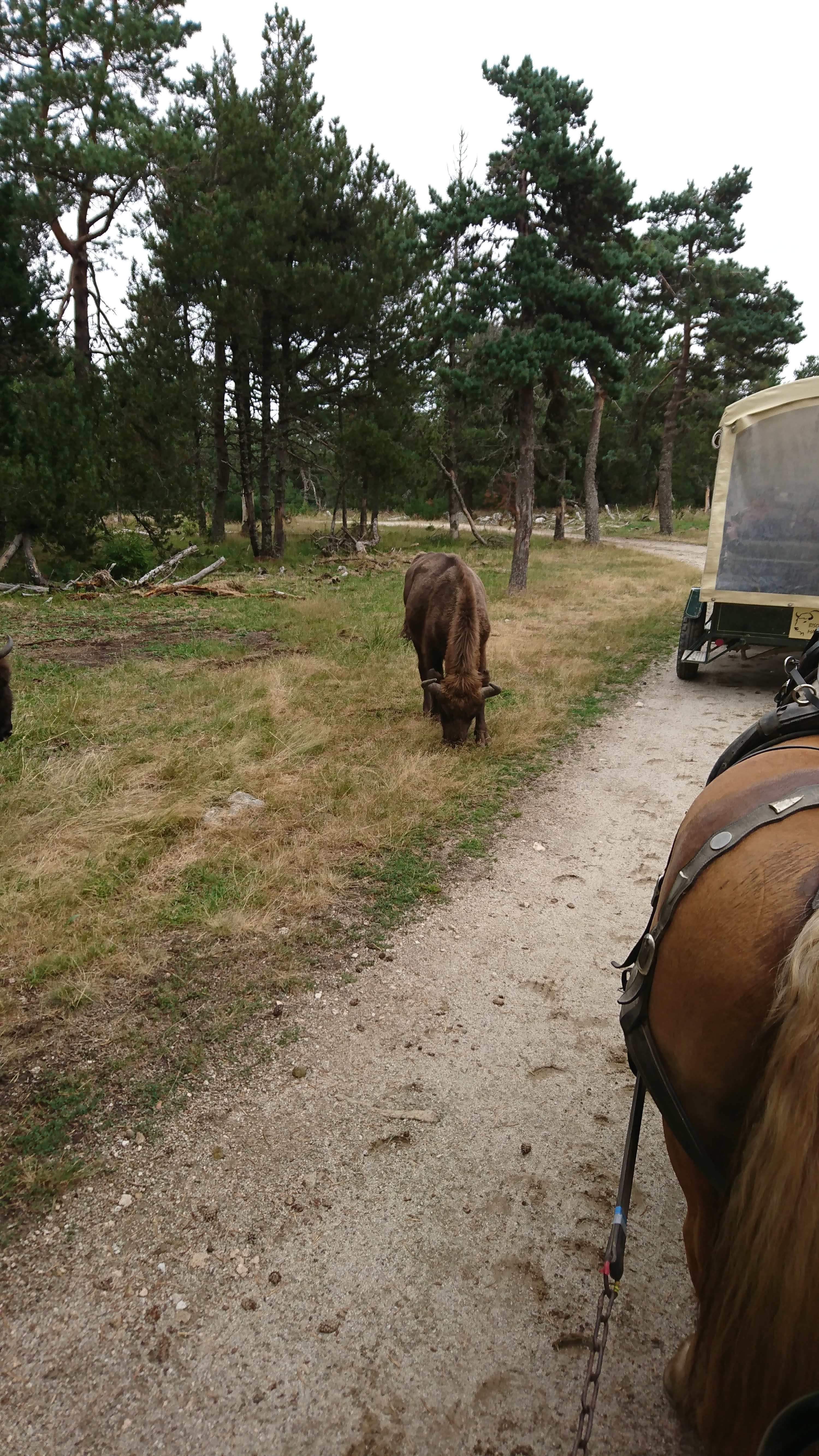 Photo n° 7 de l'avis de Bernard.l fait le 16/08/2019 à 10:01