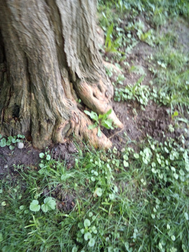 Art Museum «Richmond Art Museum», reviews and photos, 350 Hub Etchison Pkwy, Richmond, IN 47374, USA