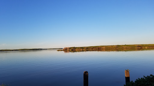 Sporting Goods Store «Delta Windsurf Co», reviews and photos, 3729 W Sherman Island Rd, Rio Vista, CA 94571, USA