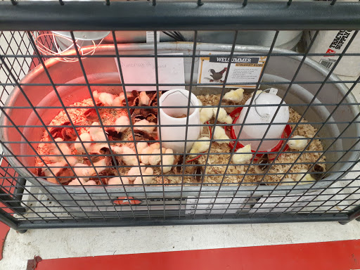 Home Improvement Store «Tractor Supply Co.», reviews and photos, 129 Perry Rd, Plainfield, IN 46168, USA