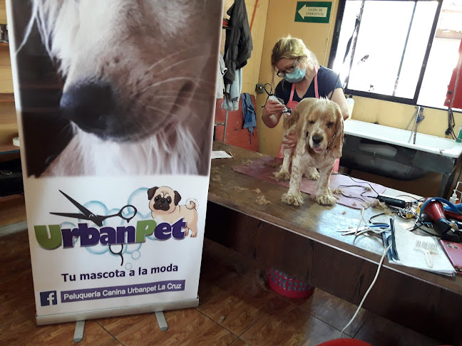 Peluqueria Canina Urban Pet La Cruz - Peluquería