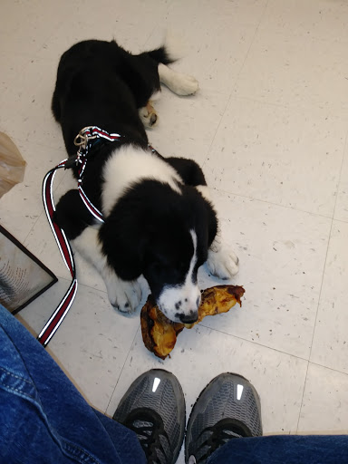 Pet Supply Store «PetSmart», reviews and photos, 1743 Stringtown Rd, Grove City, OH 43123, USA