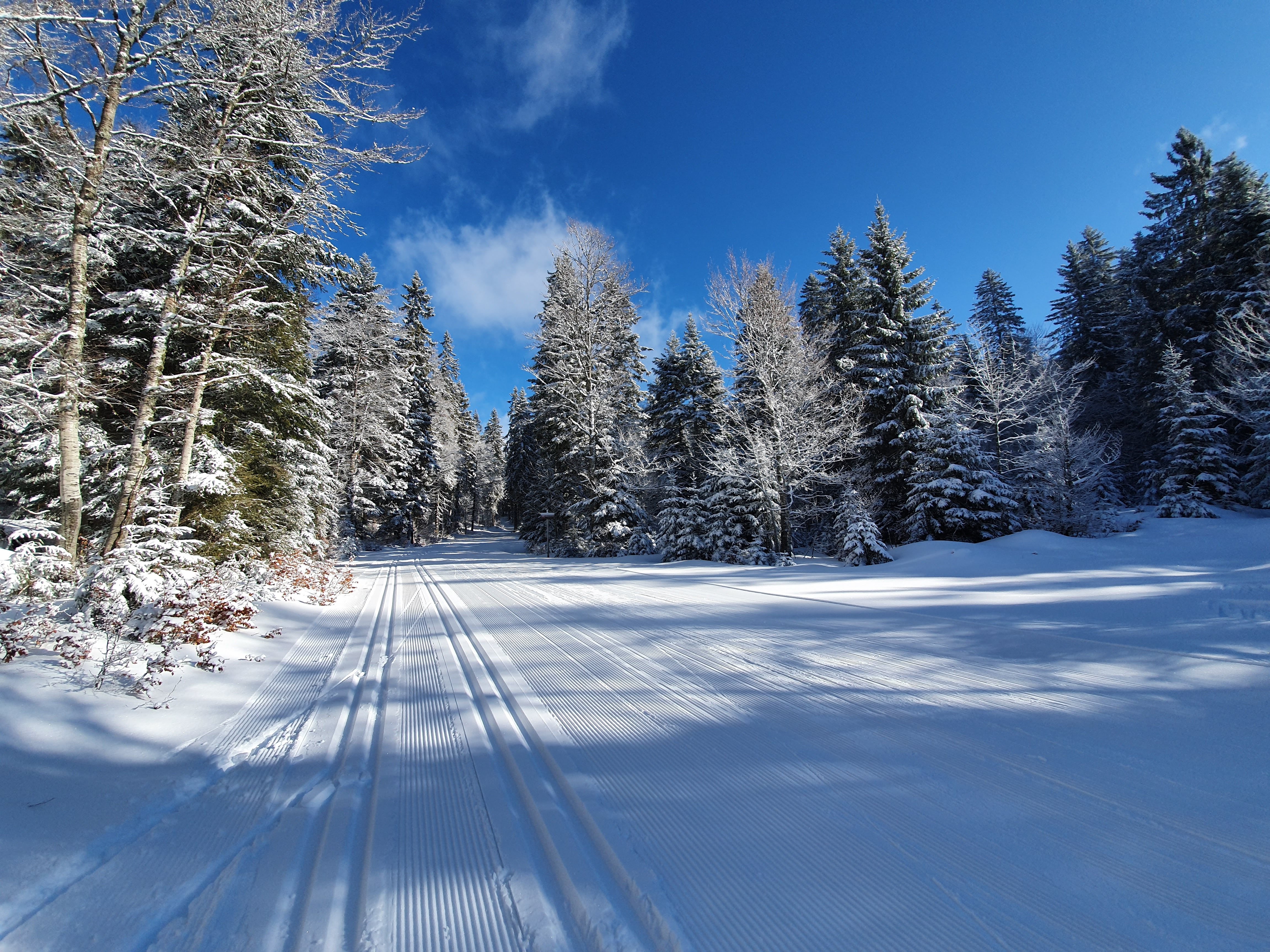 Photo n° 2 de l'avis de Sarah.o fait le 05/02/2019 à 16:25