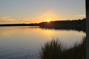 Swan Pond Boardwalk image