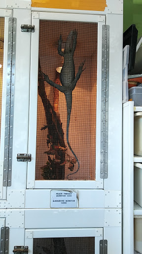 Pet Store «Zoo Creatures Pet Store», reviews and photos, 149 Plaistow Rd, Plaistow, NH 03865, USA