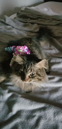 Florist «Lakeland Florist», reviews and photos, 164 Landing Rd, Landing, NJ 07850, USA