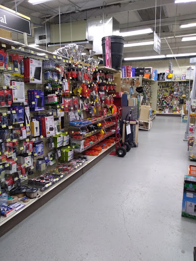 Hardware Store «Ace Hardware», reviews and photos, 505 Thompson Dr, Lake Dallas, TX 75065, USA