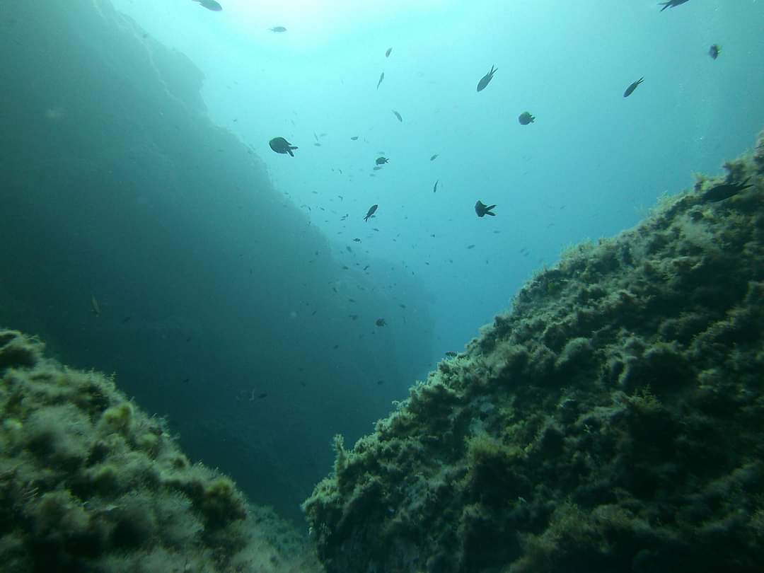 Photo n° 6 de l'avis de Lucile.r fait le 20/10/2022 à 19:35