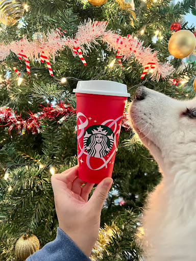 Starbucks image