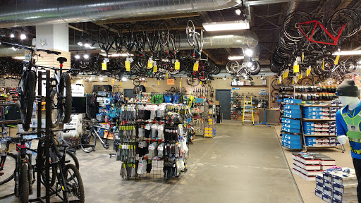 Bicycle store Ottawa