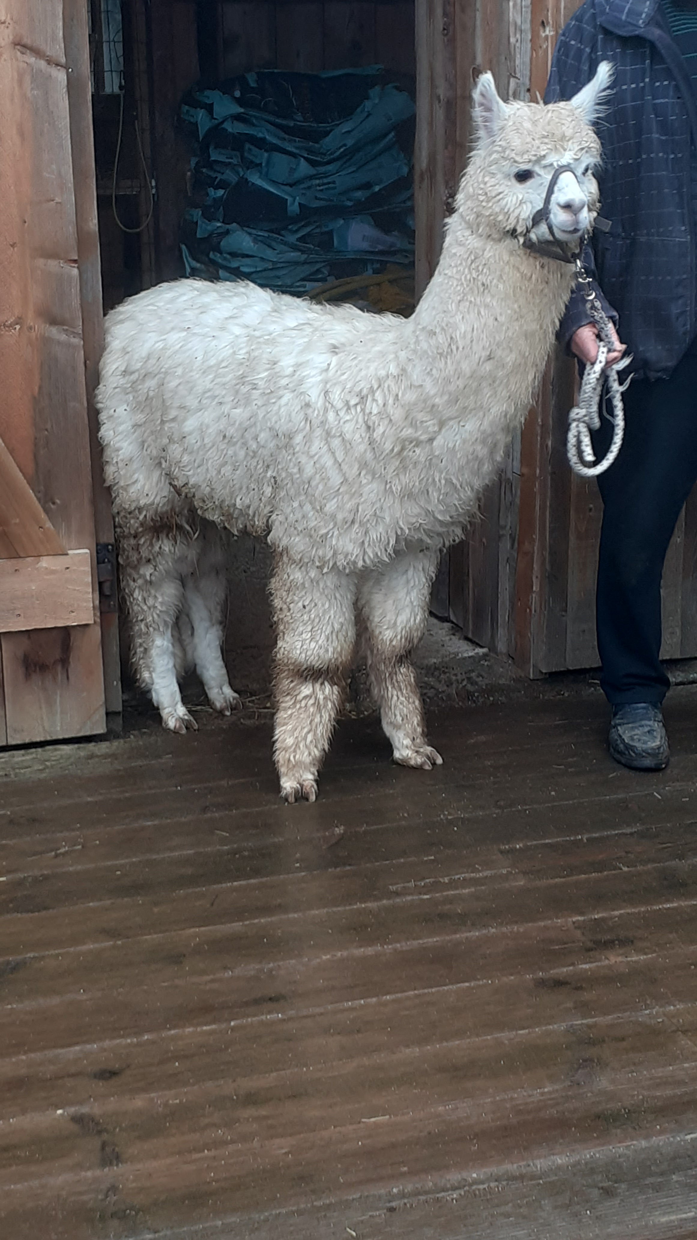 Photo n° 2 de l'avis de Fy.o fait le 25/02/2020 à 10:54