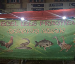 pecel lele prikitiw photo