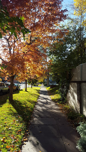 Park «Governors Park», reviews and photos, 701 Pennsylvania St, Denver, CO 80203, USA