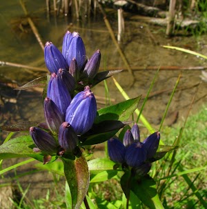 Tinkers Creek State Nature Preserve - photo 80