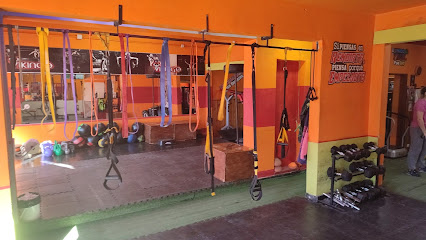Vikingo Gym