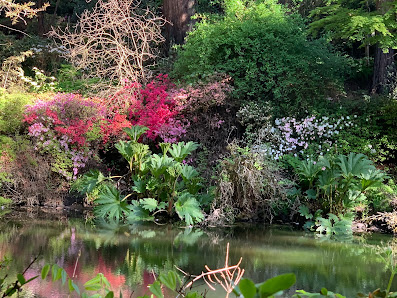 Sonoma Horticultural Nursery 3970 Azalea Ln, Sebastopol, CA 95472