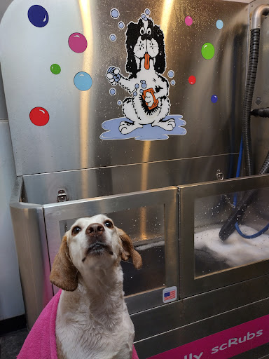 Pet Groomer «Belly scRubs Self Service Pet Wash», reviews and photos, 119 WV-34 #1, Hurricane, WV 25526, USA