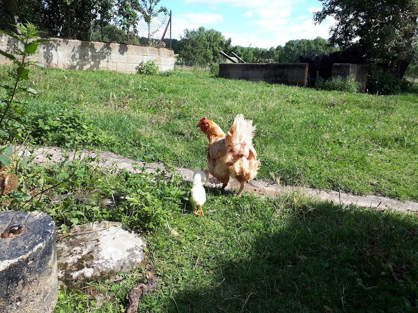 Eco-Camping de La Meilleraie à Saint-Michel-le-Cloucq