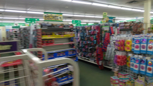 Dollar Store «Dollar Tree», reviews and photos, 3172 Middle Country Rd, Lake Grove, NY 11755, USA