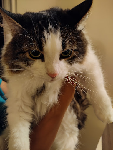 Grocery Store «Meijer», reviews and photos, 100 Polaris Pkwy, Westerville, OH 43082, USA