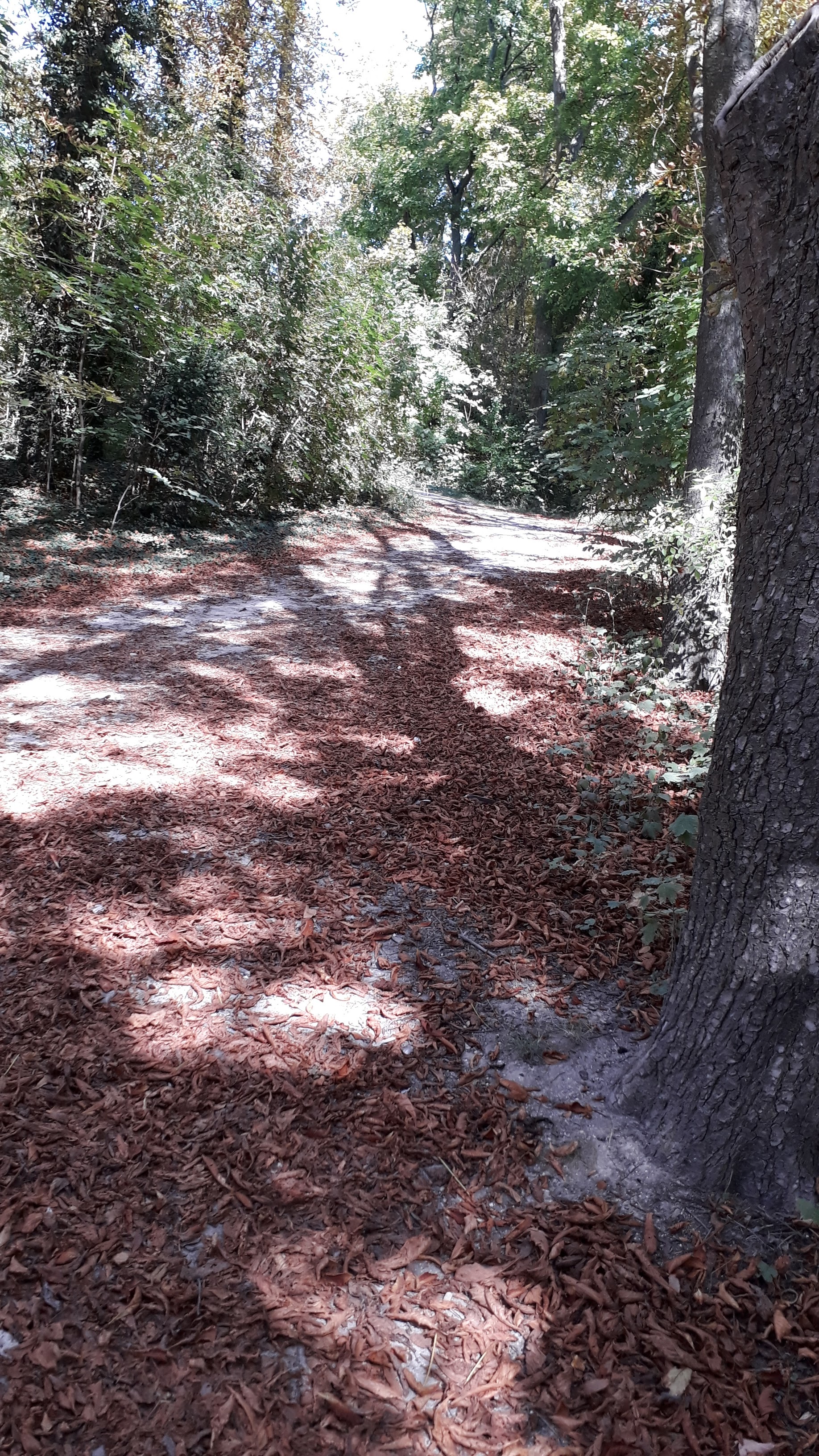 Photo n° 16 de l'avis de Veronique.a fait le 15/09/2019 à 13:59