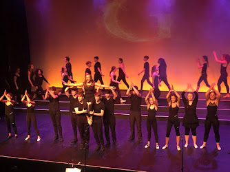 Performing Arts School Galway