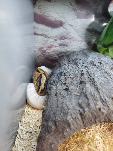 Pet Supply Store «Petco Animal Supplies», reviews and photos, 5565 S Virginia St, Reno, NV 89502, USA