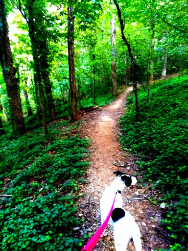 Park «Allsopp Park», reviews and photos, 3700 Cedar Hill Rd, Little Rock, AR 72202, USA