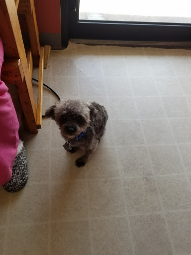 Barber Shop «Sato Barber Shop», reviews and photos, 1969 Geneva Ave N, Oakdale, MN 55128, USA