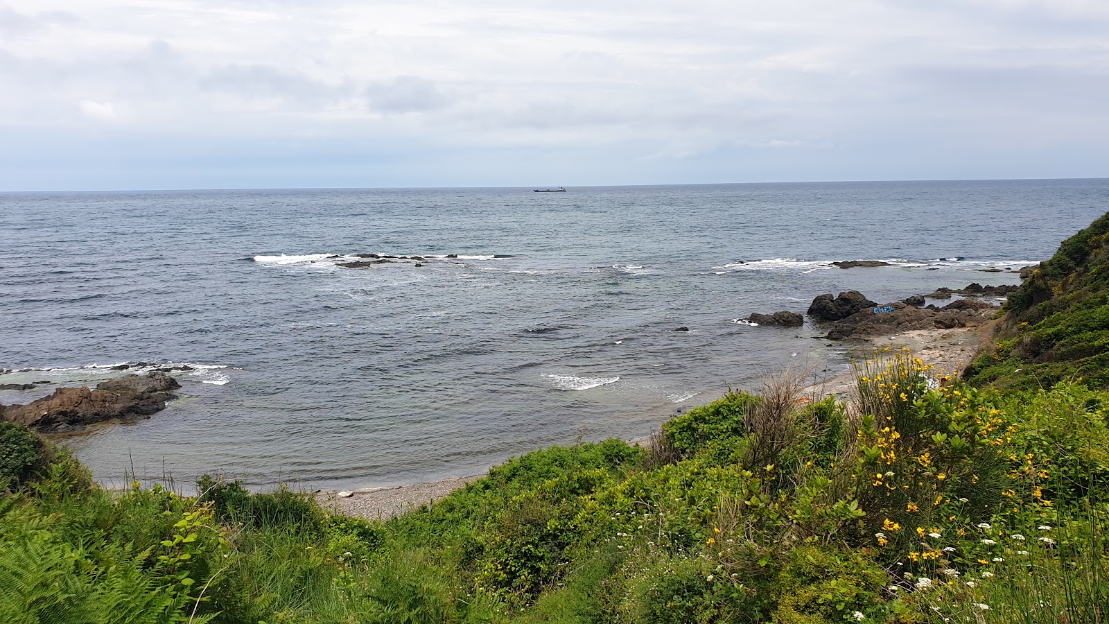 Photo of Halis koy wild area