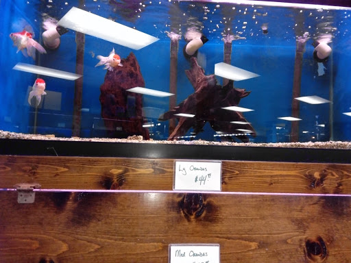 Pet Supply Store «Tropical World Pets», reviews and photos, 8444 Watson Rd, Webster Groves, MO 63119, USA