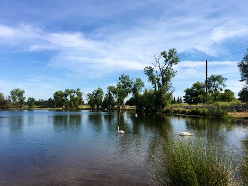 Golf Course «Mather Golf Course», reviews and photos, 4103 Zinfandel Dr, Mather, CA 95655, USA