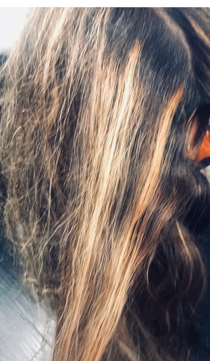 Hair Salon «The Edge Salon & Spa», reviews and photos, 630 Old Country Rd, Garden City, NY 11530, USA