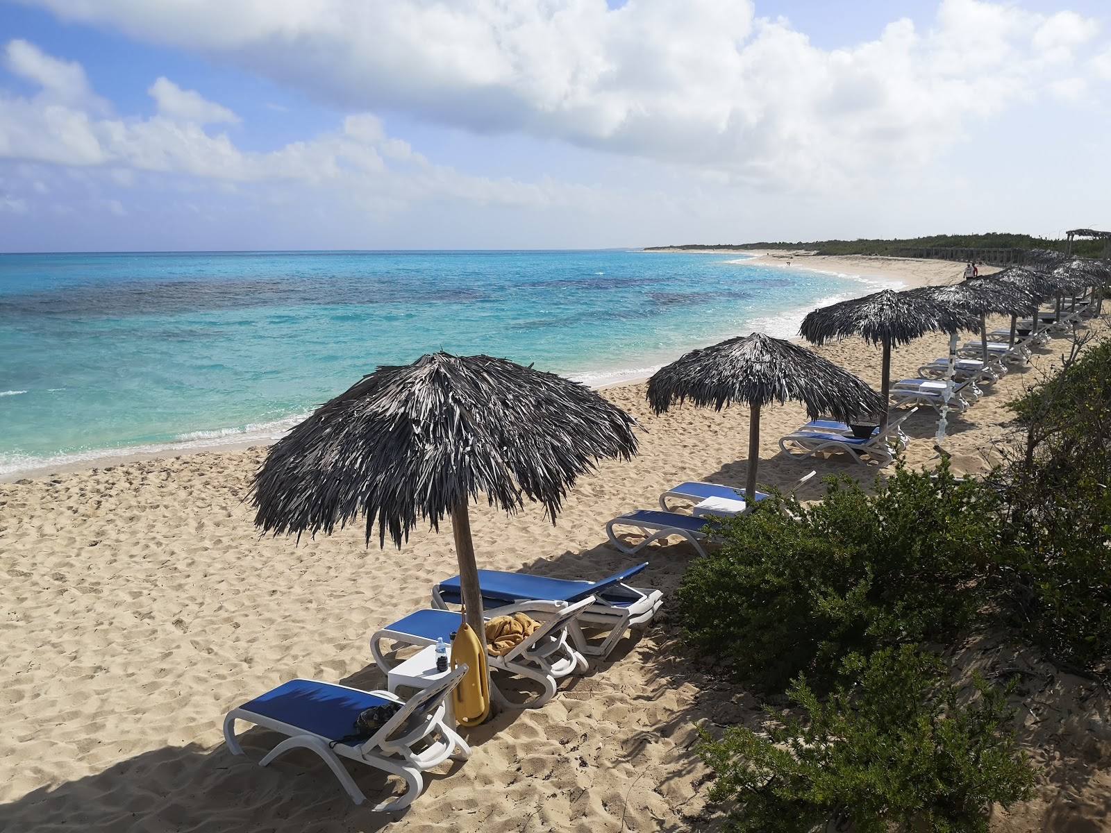 Melia Buenavista Plajı'in fotoğrafı otel alanı