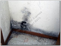 Mold Removal Express - Photo 6 - Car repair in , Boulder